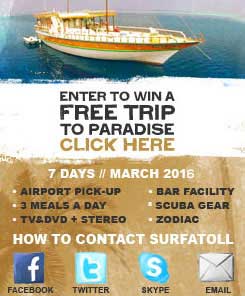 Enter to win a Free Trip to paradise click here.