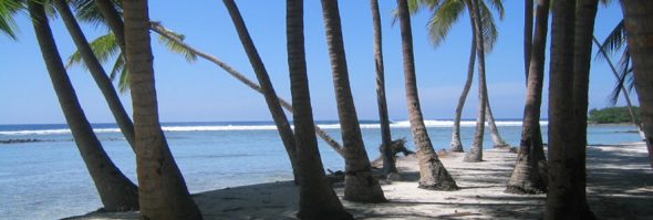 Sultans-maldives-surf