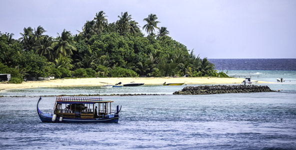 maldives surf